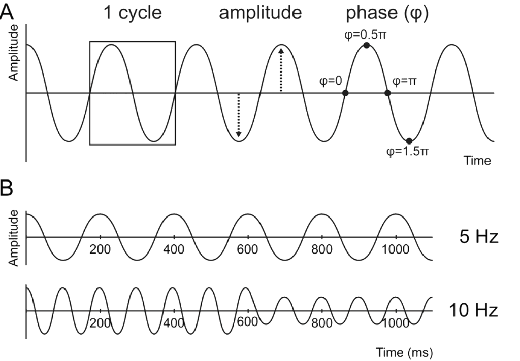 Spatial vs temporal resolution of different neuroimaging tools
