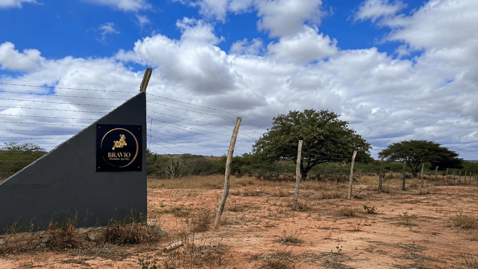 Caatinga no Sertão da Bahia