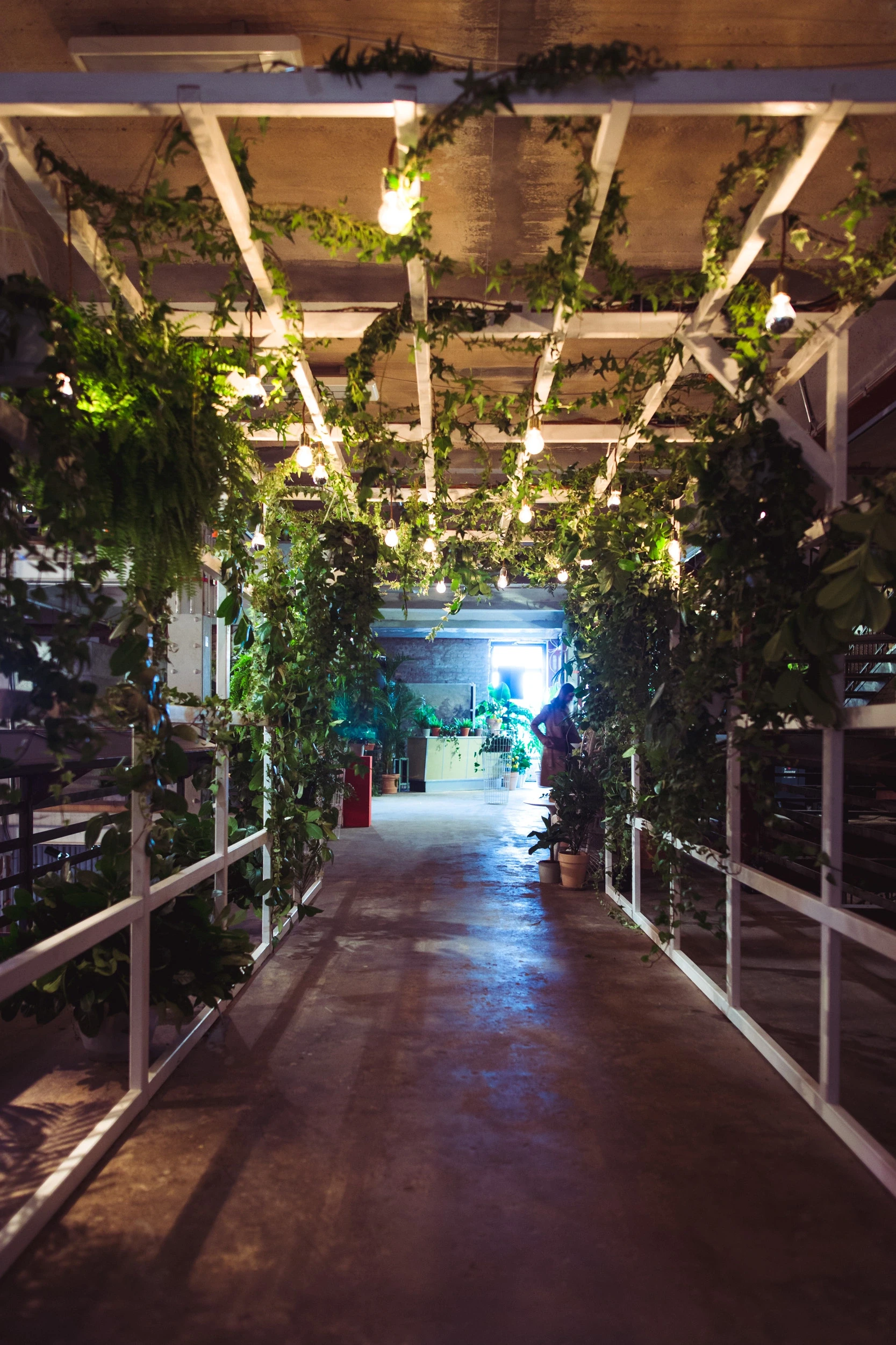 Walkway at DIAGEO BCB18 under a white pergola overgrown with hanging greenery and glowing bulbs.