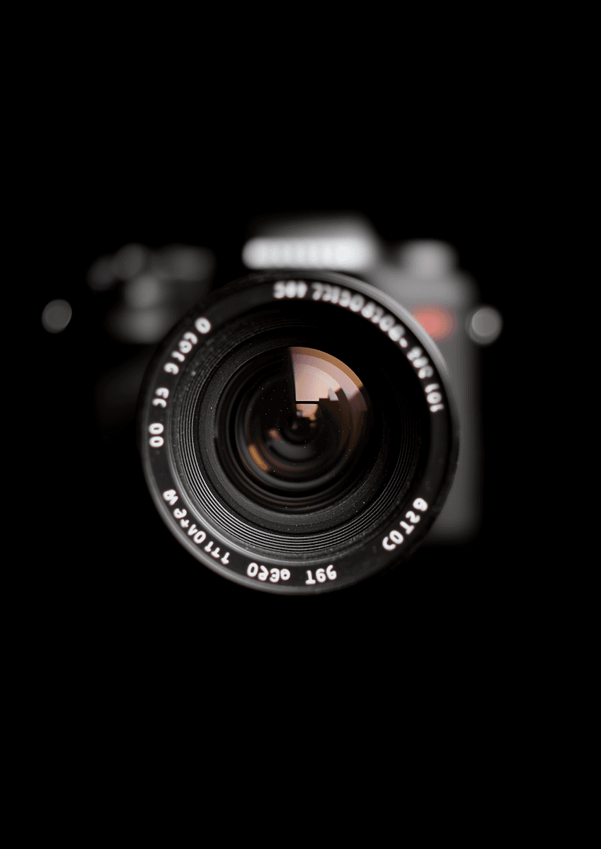 A black female model