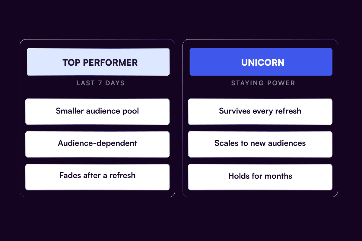 Top performer versus unicorn: durability is what separates the two
