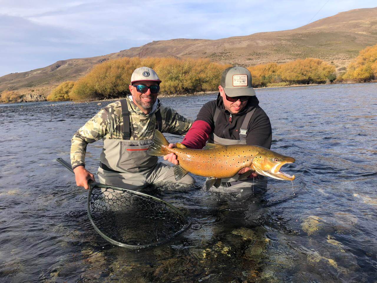 Large brown trout caught fly fishing on Nahuel Huapi Lake near Bariloche, Patagonia