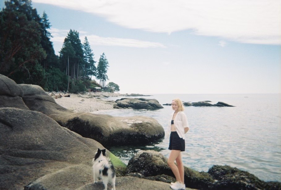 A green butterfly rests on a flower.