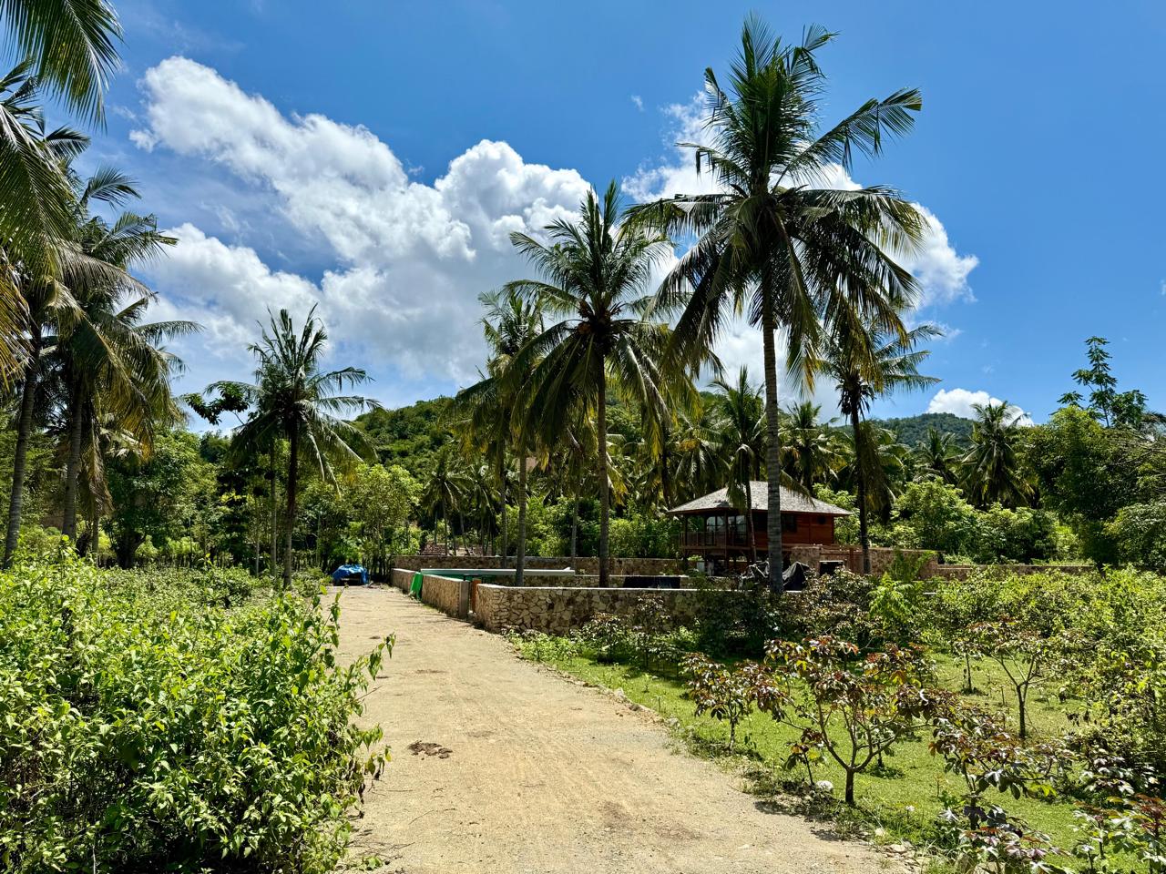 500–1200 m² oceanfront land plots in West Sumbawa