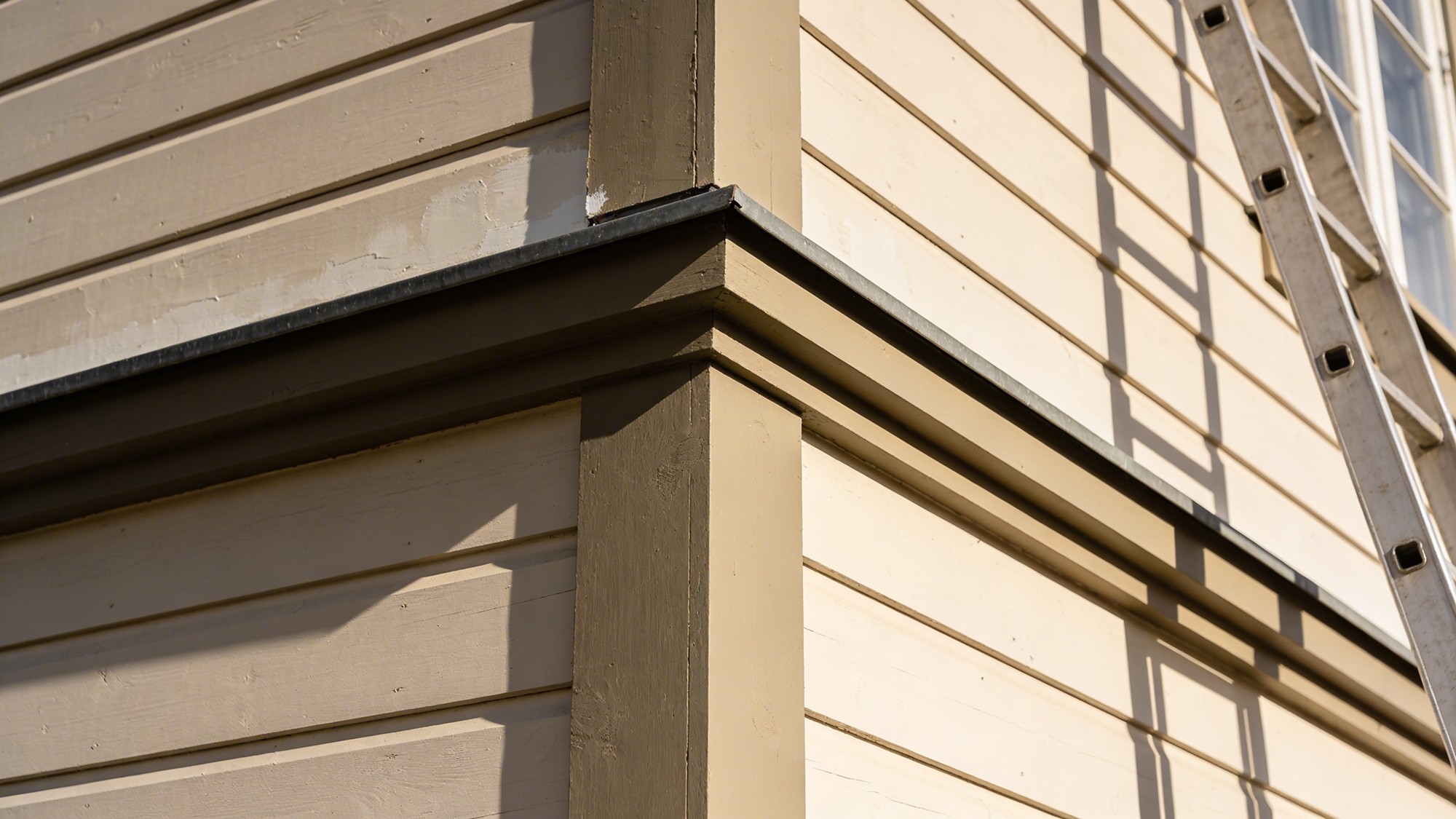 Two people having a picnic on the grass