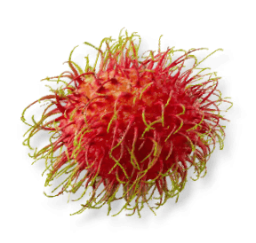 เงาะโรงเรียนอบแห้ง Dried Rambutan สำหรับส่งออก