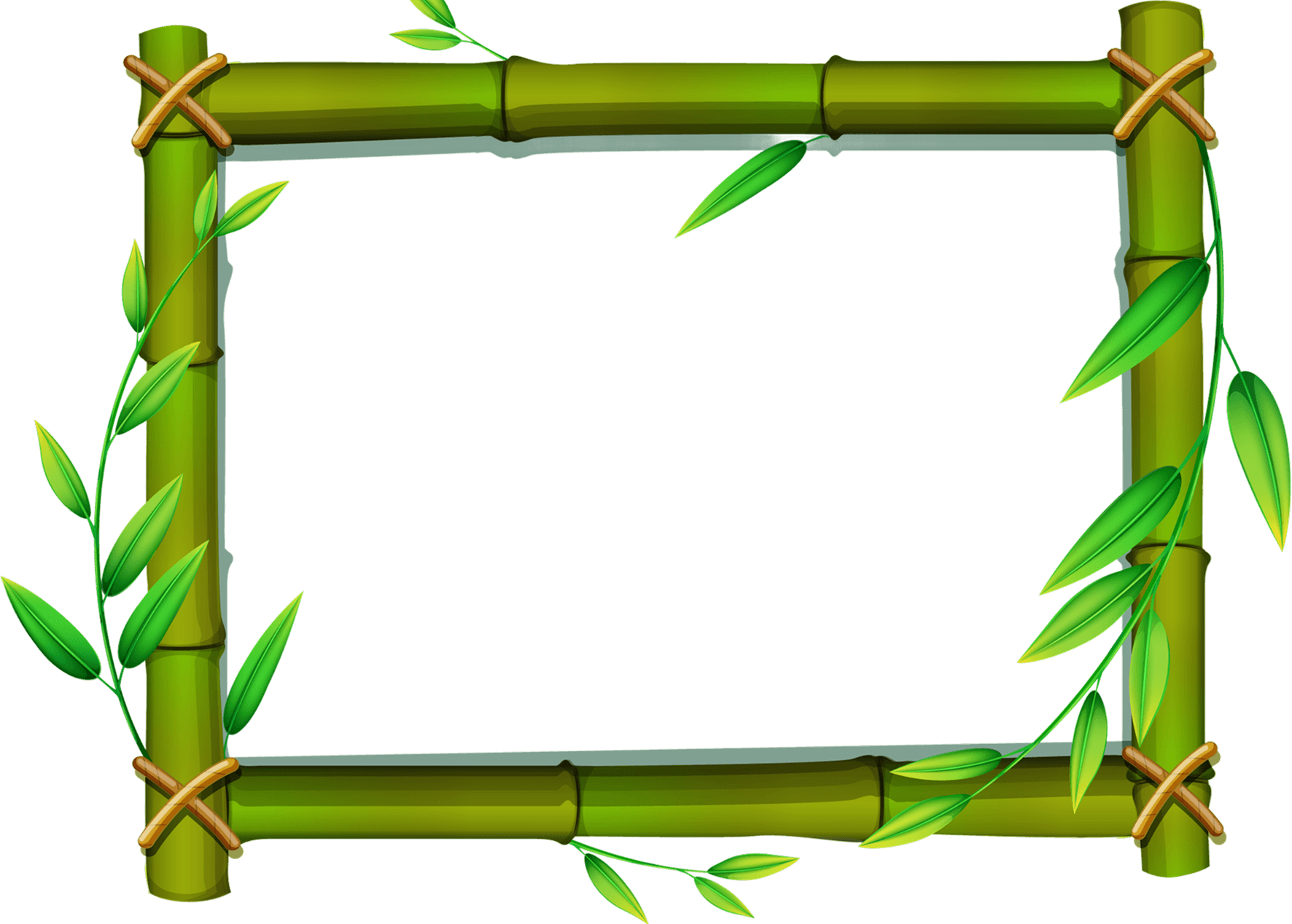 Bamboo frame with green leaves