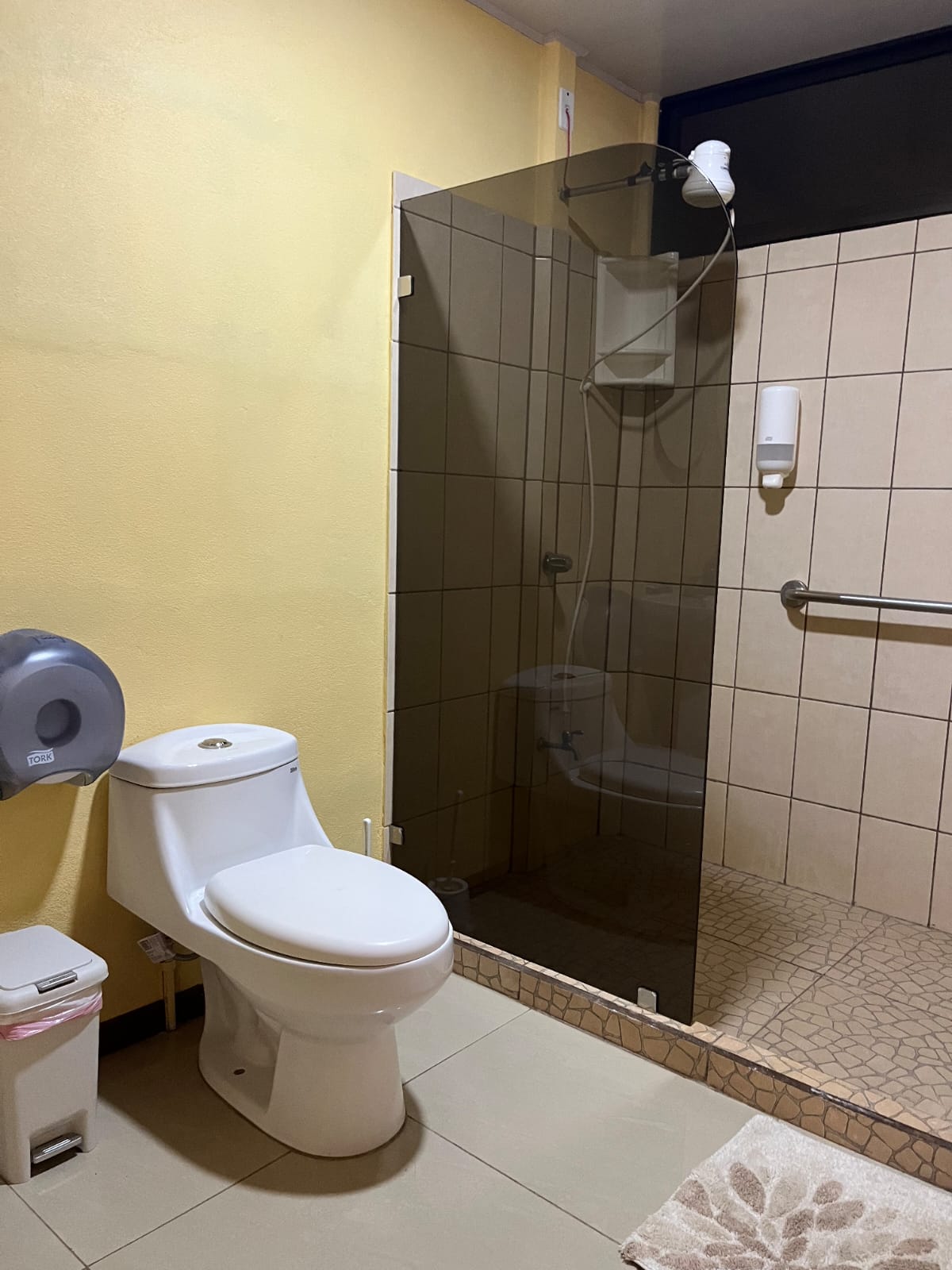 an aerial view of a beach surrounded by trees