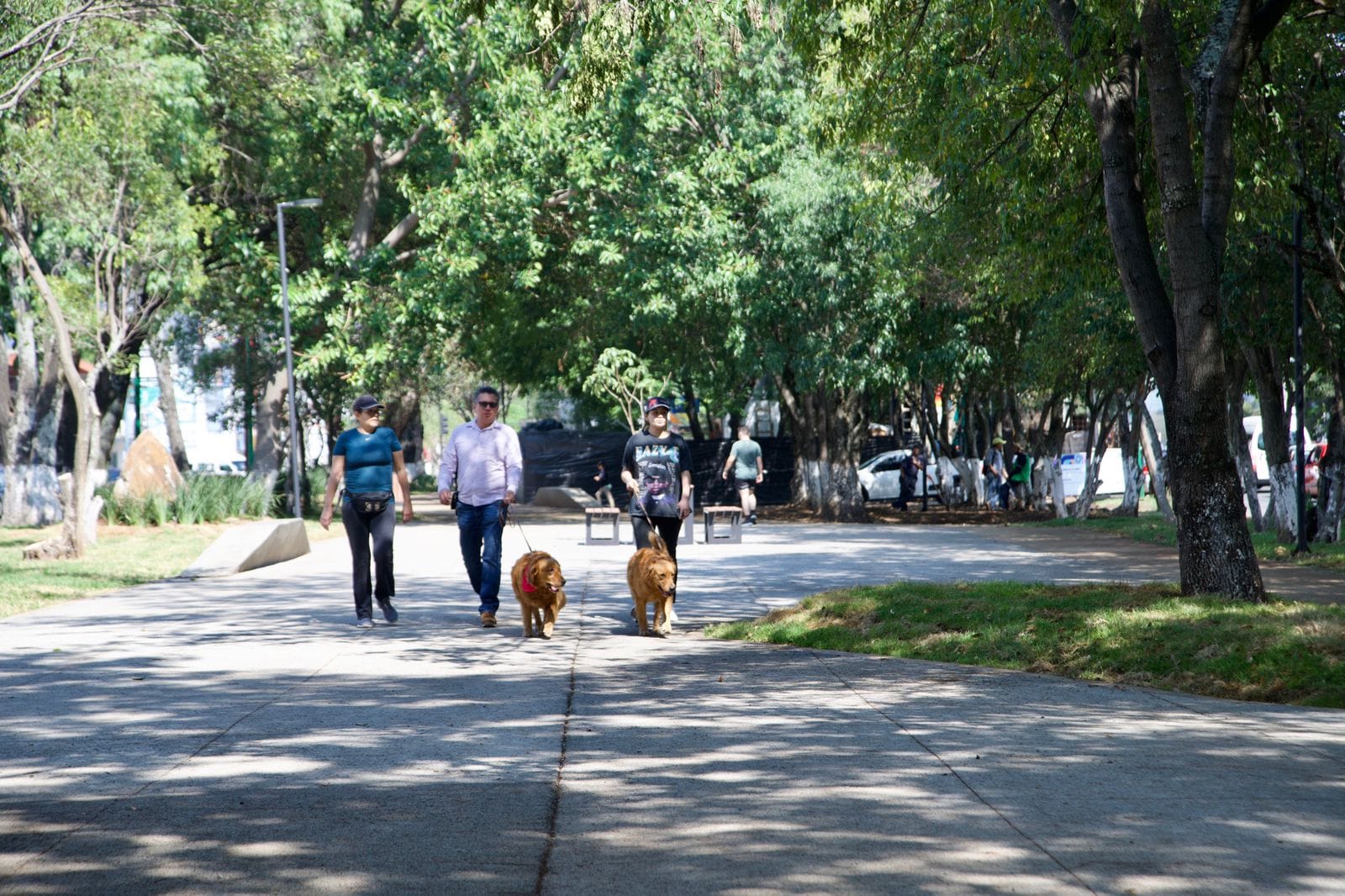 Una familia pasea a sus perros en el Boulevard García de León en Morelia, Michoacán