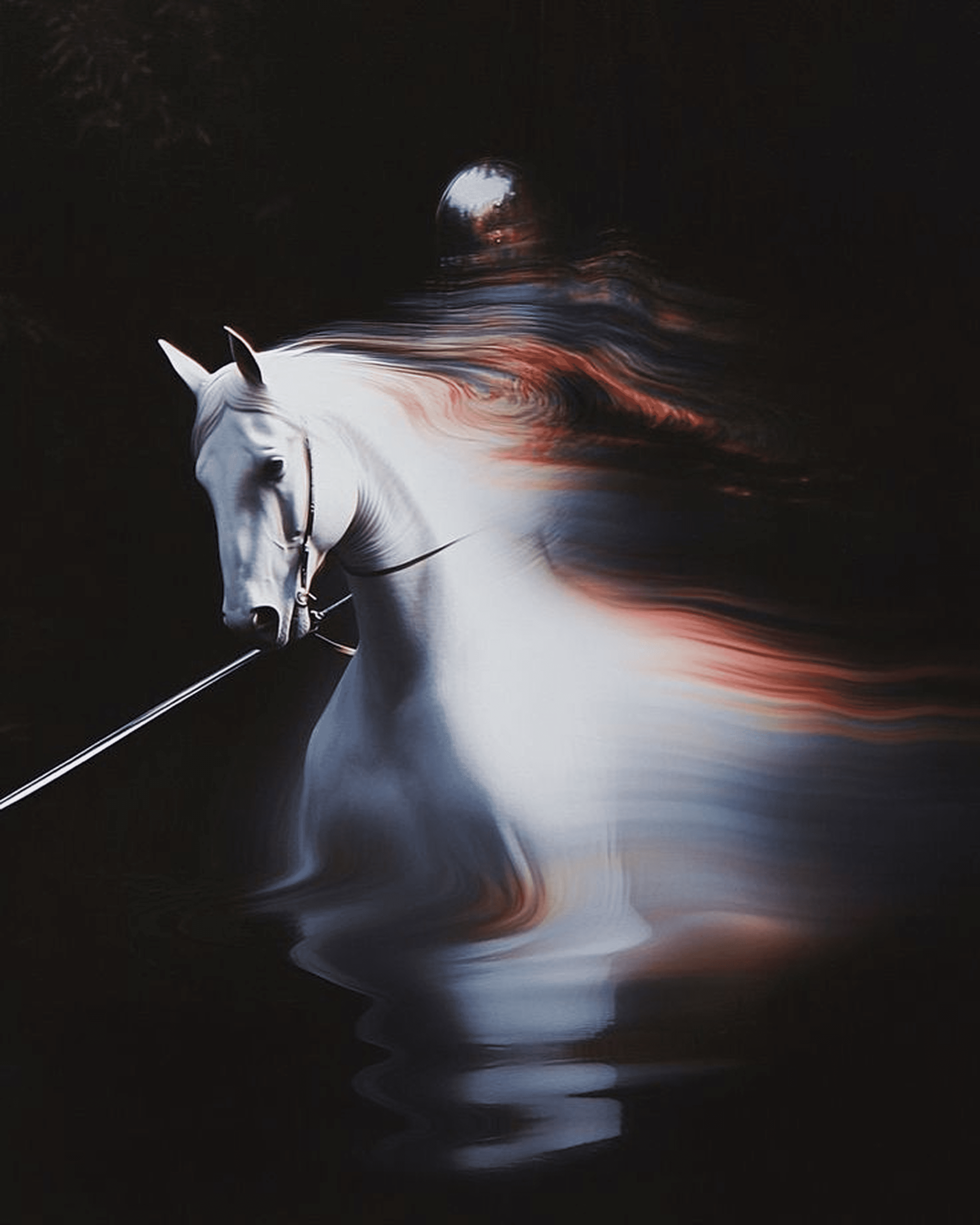 a warrior on a white horse