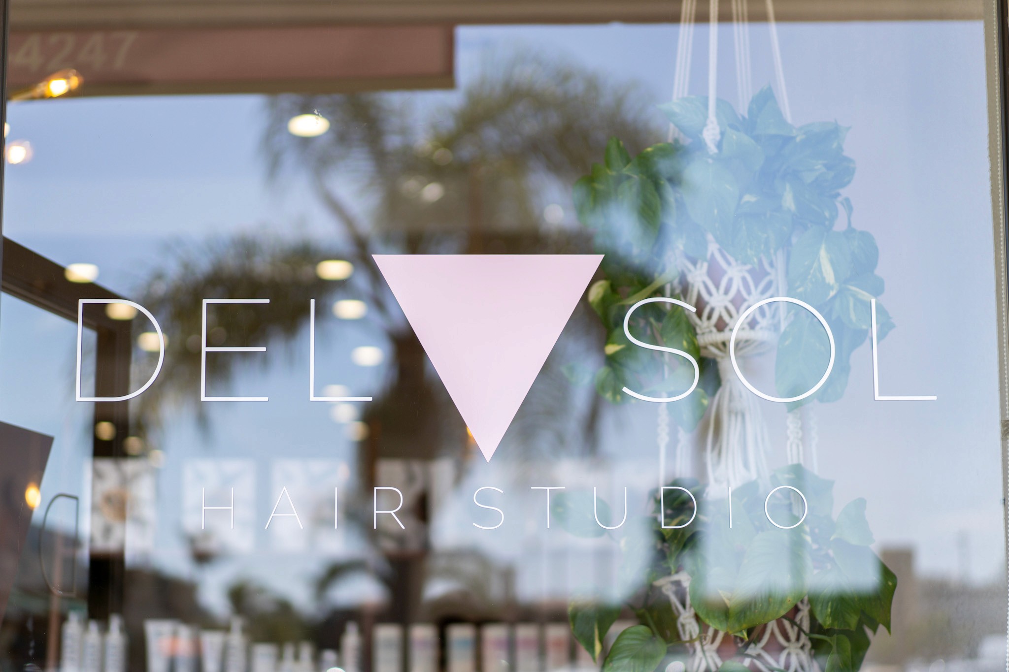 Del Sol Hair Studio logo displayed on the front window, with a soft reflection of palm trees and hanging greenery in the glass.