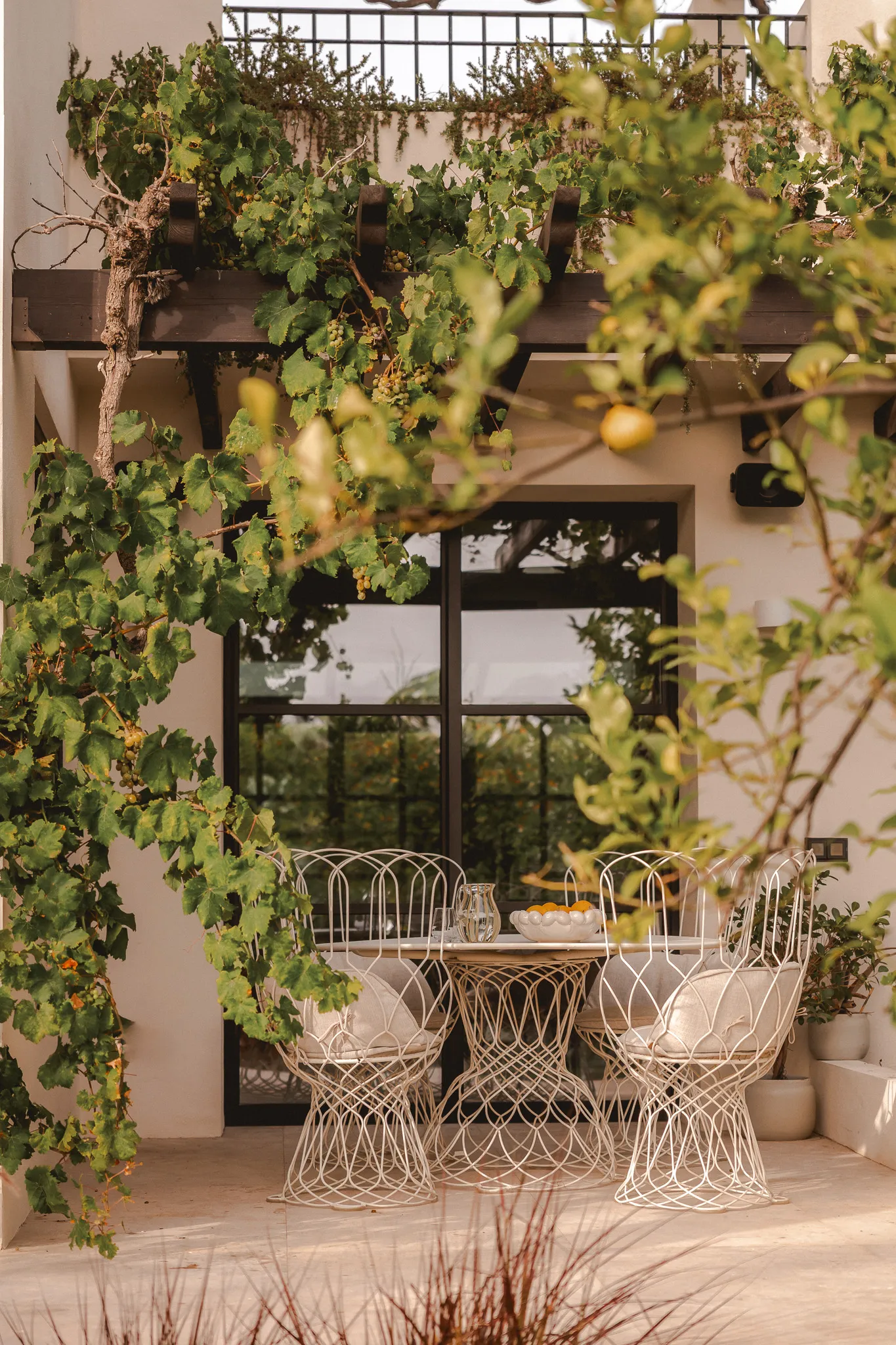 A charming Mediterranean-style patio featuring an intricate white wire outdoor dining set with plush cream cushions, nestled under a dark wooden pergola covered in lush green grapevines.