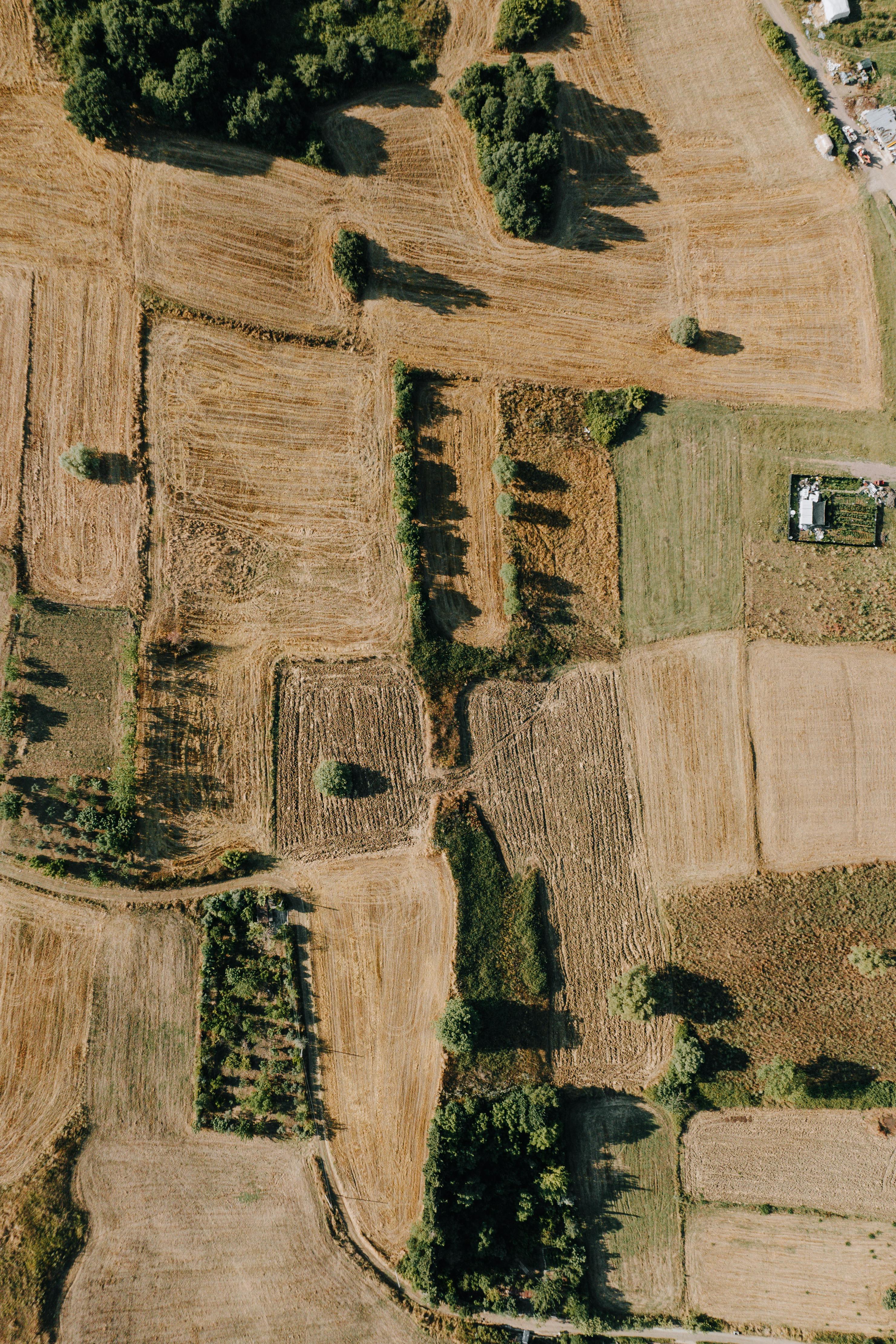 widok na działki i pola z lotu ptaka