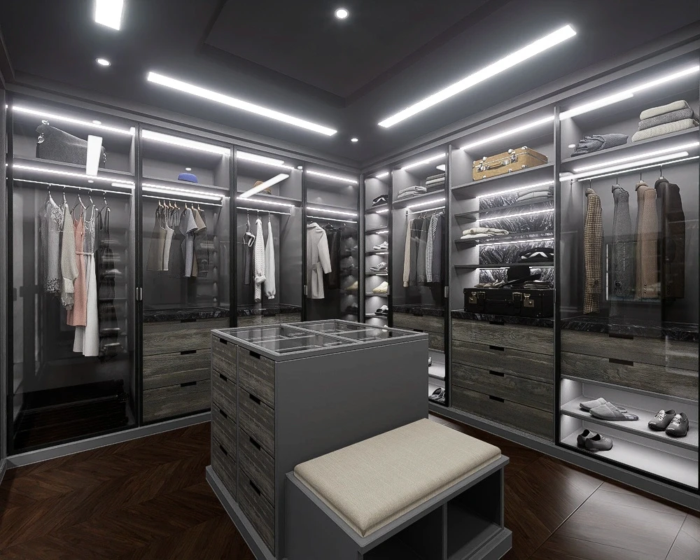Modern closet render