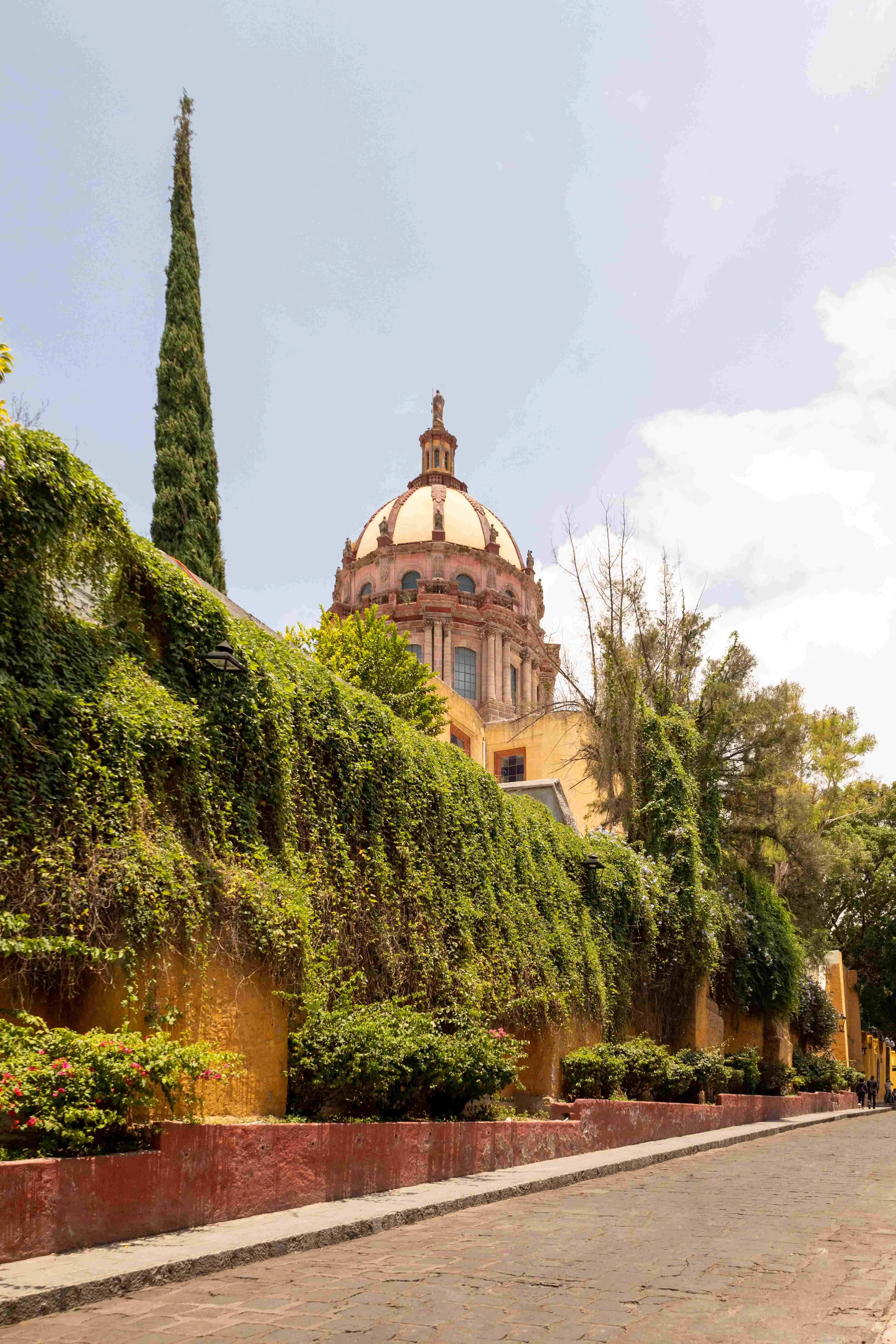 Tree-lined street in Querétaro with views of a historic dome and traditional urban landscape.