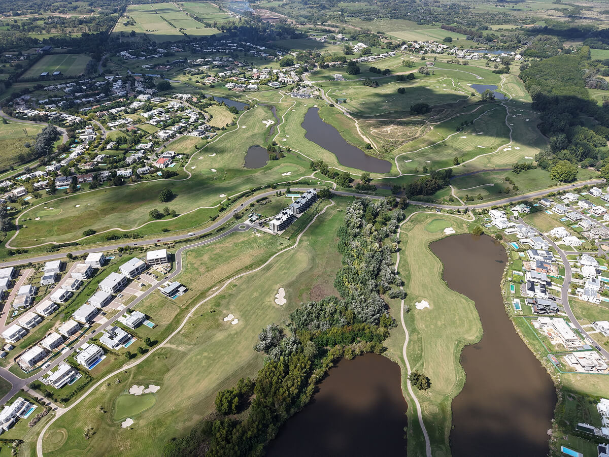 Close-up of a green palm leaf with intricate veining and texture, showcasing rich shades of green.