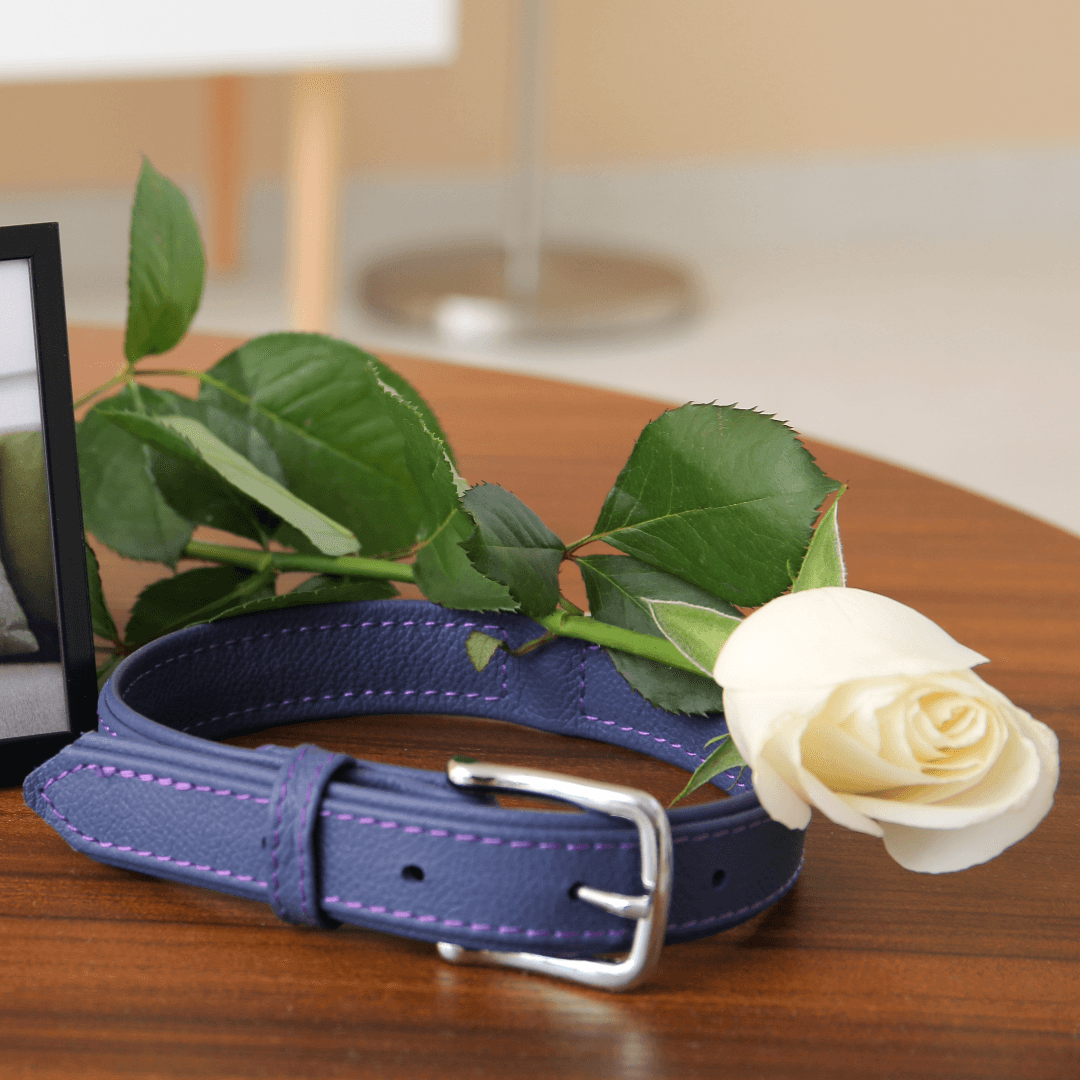 Blue dog collar sitting on a table with a white rose for pet memory journal