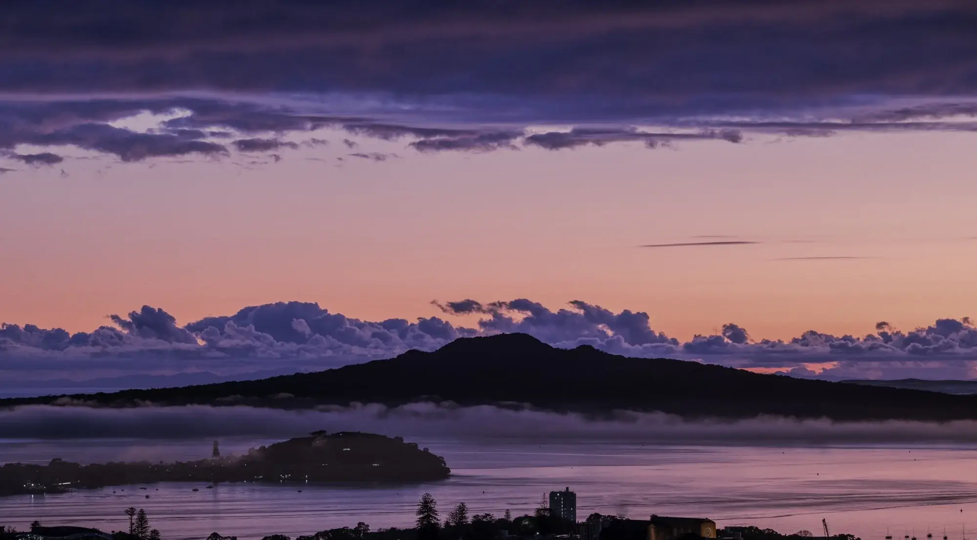 Striking Portrait with Bold Expression