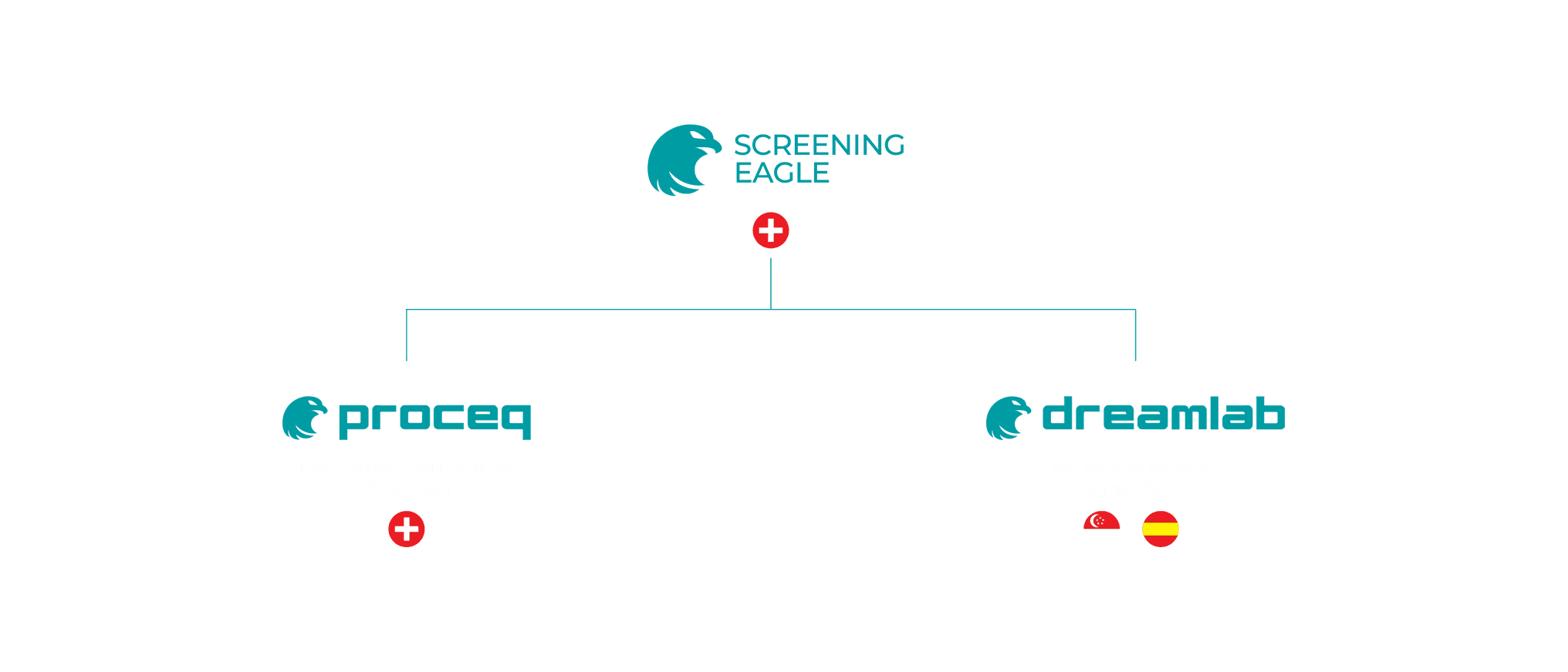 Organizational Structure