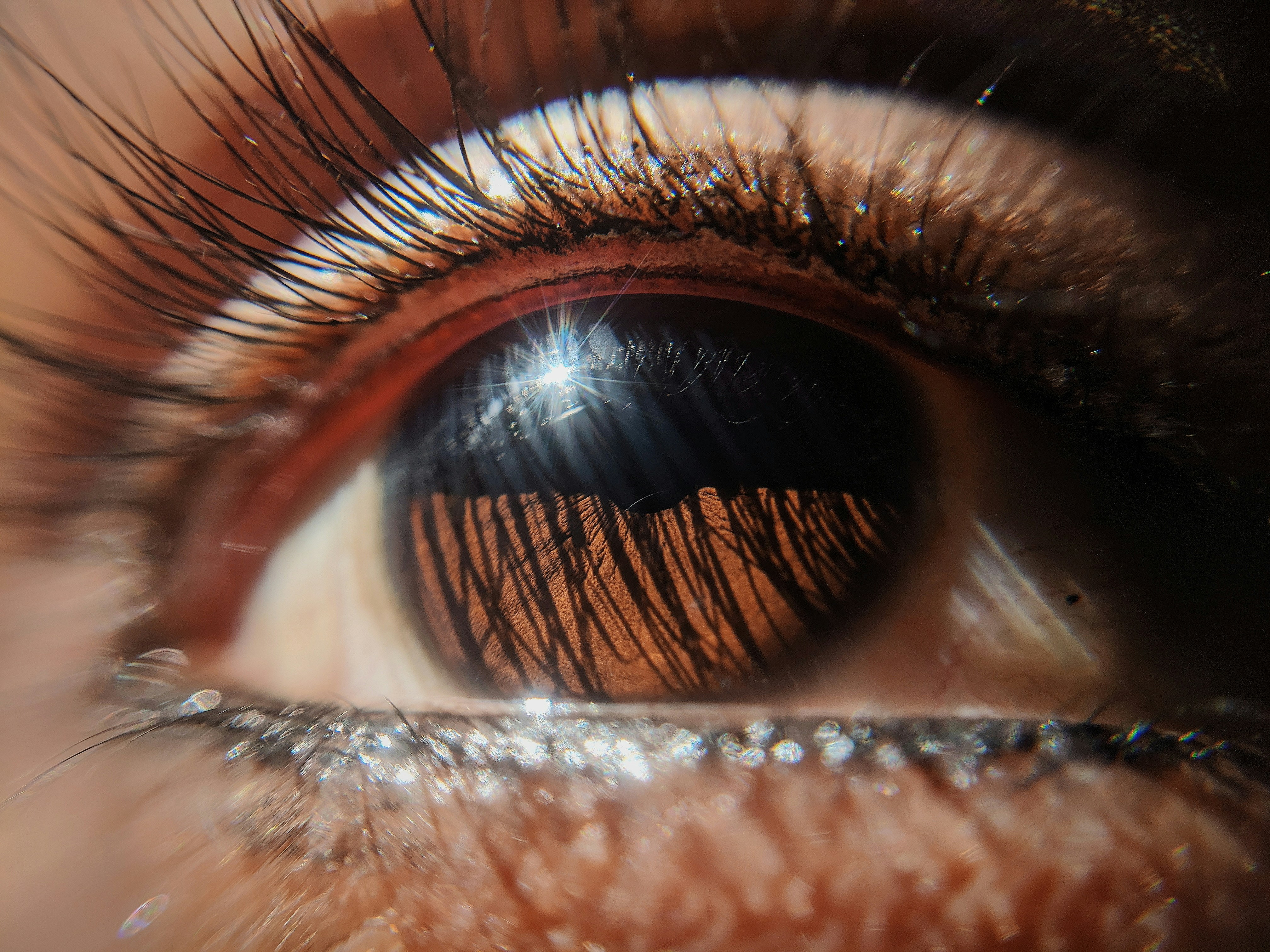 closeup photo of human eye