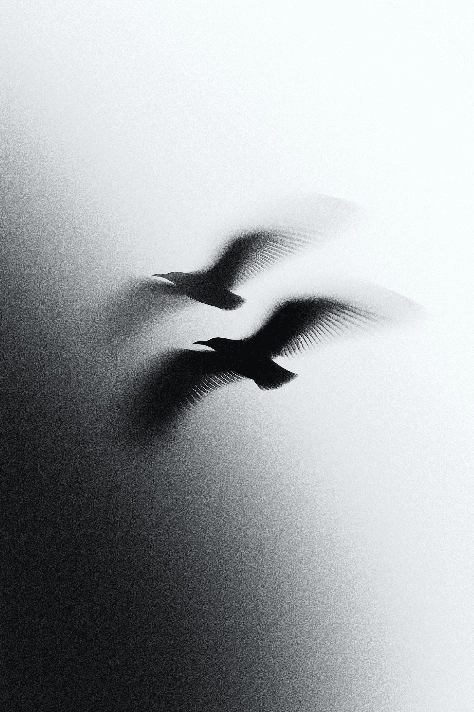 Silhouetted birds in flight against a soft gray gradient background
