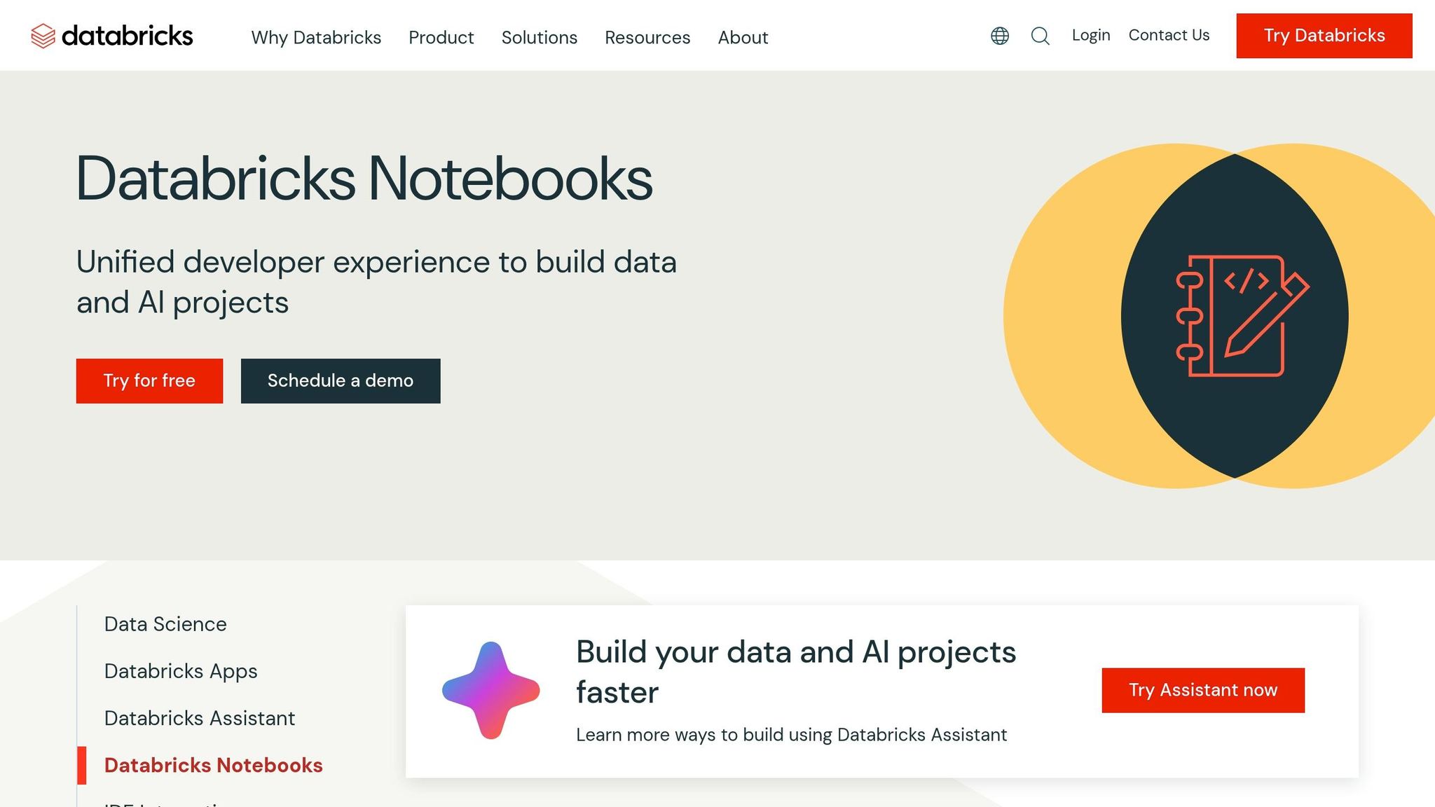 Databricks Notebooks