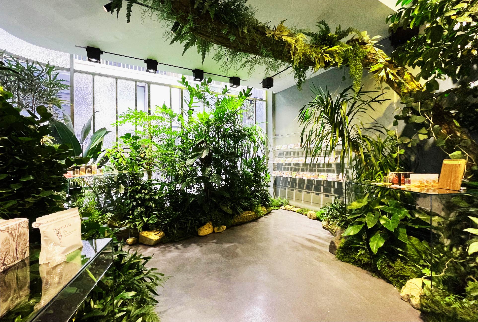 店鋪內部溫室植物園的空間設計