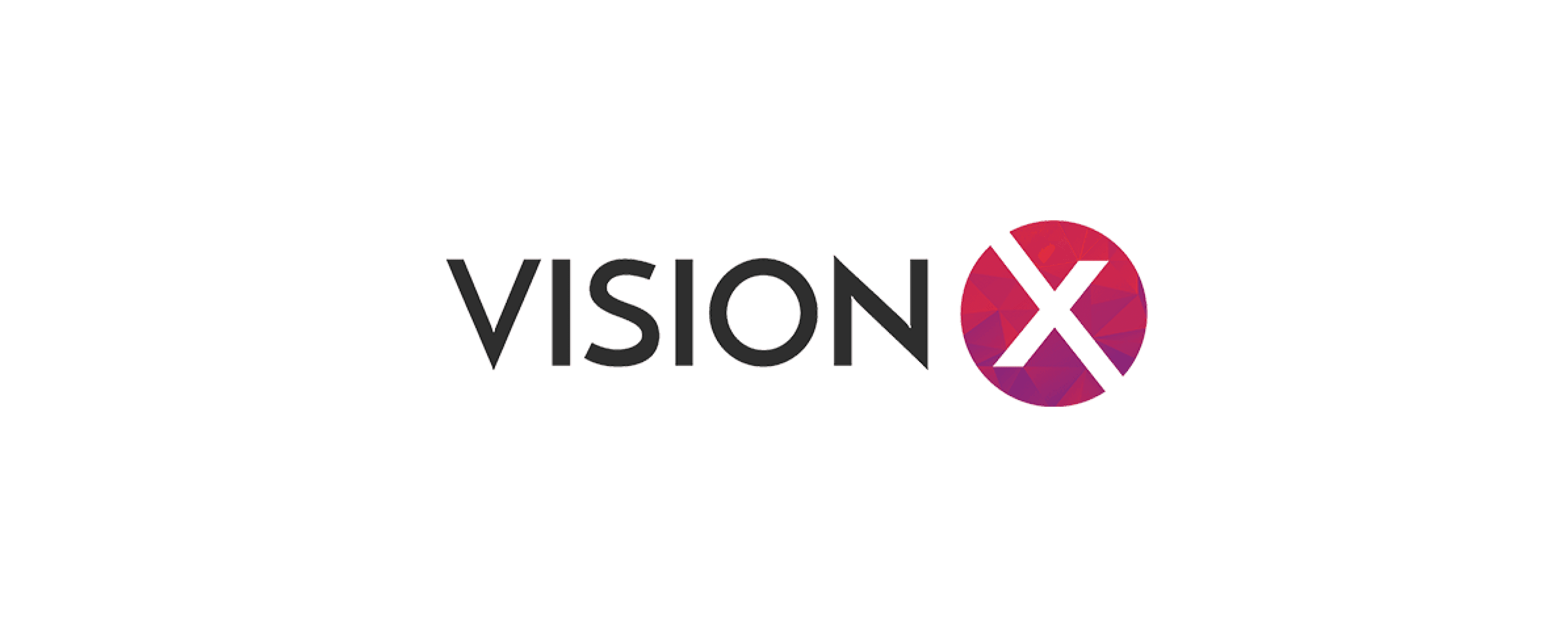 Icône du logo VisionX