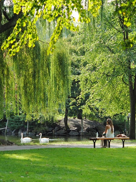 Neighborhood's highlights