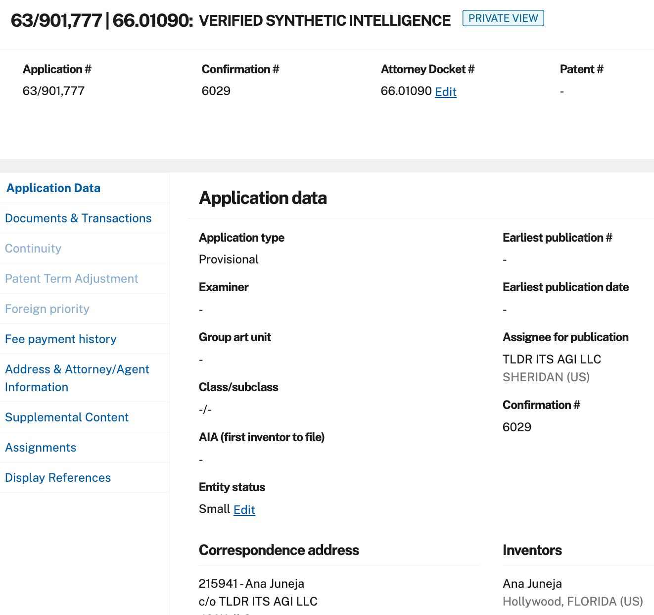 Screenshot of VSI provisional patent filing record from USPTO.