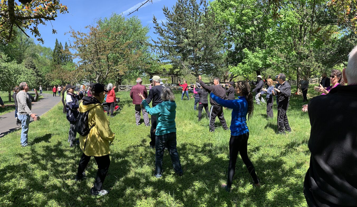 Qigong class in the park on a sunny day.