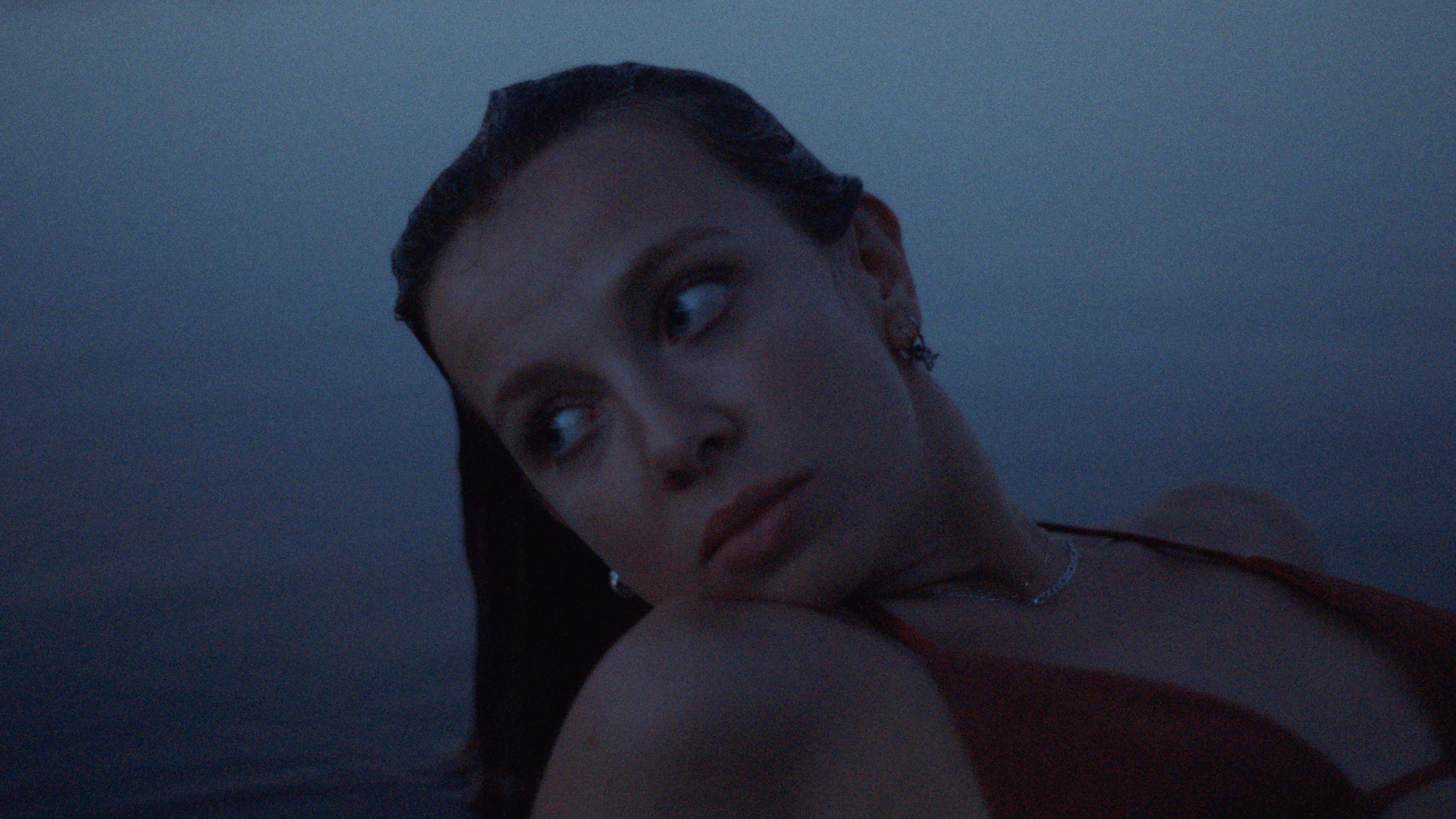 Dom Pérignon vineyards from the sky