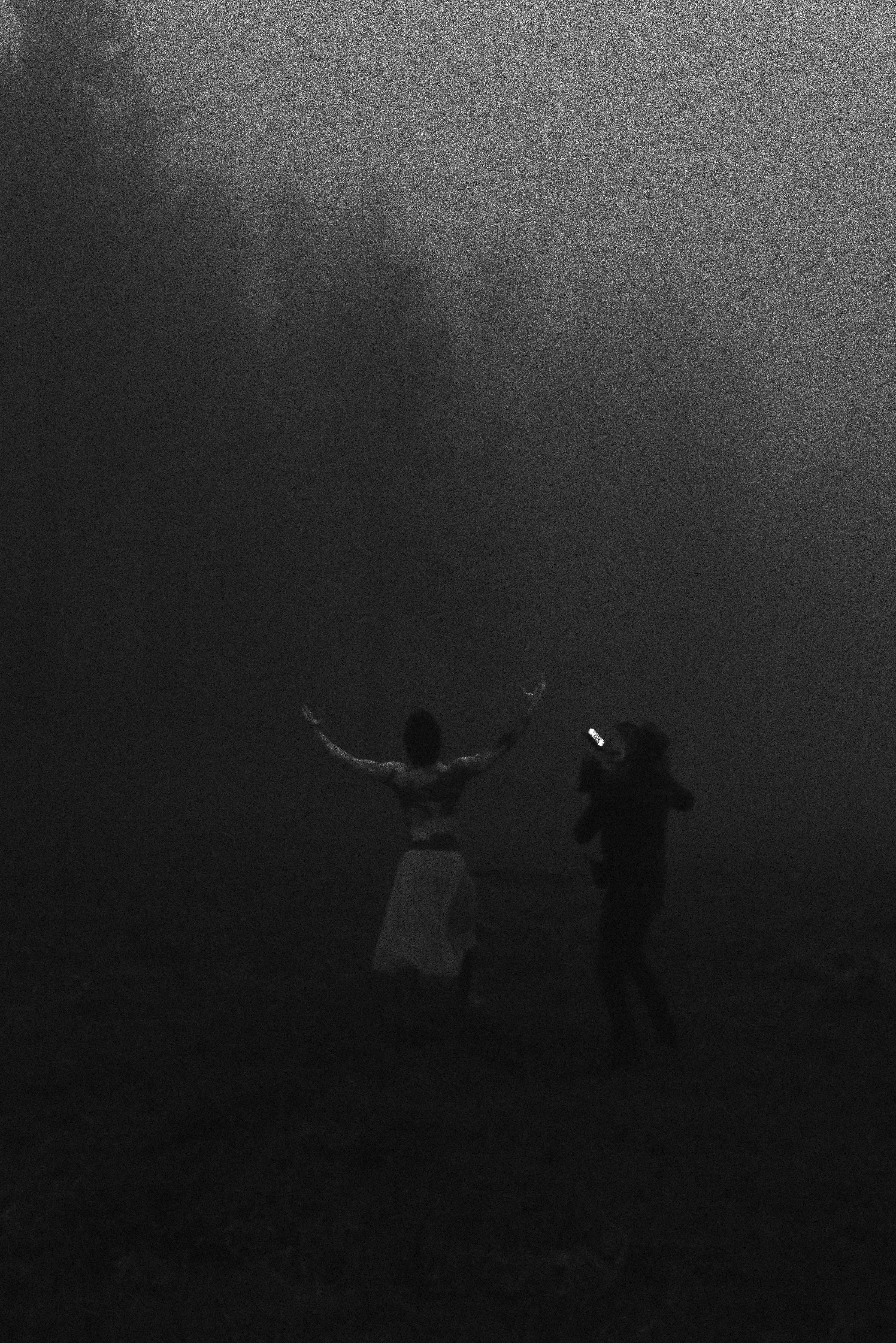 forest Marco Palomino