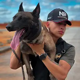 Imagem de projeto no portfólio