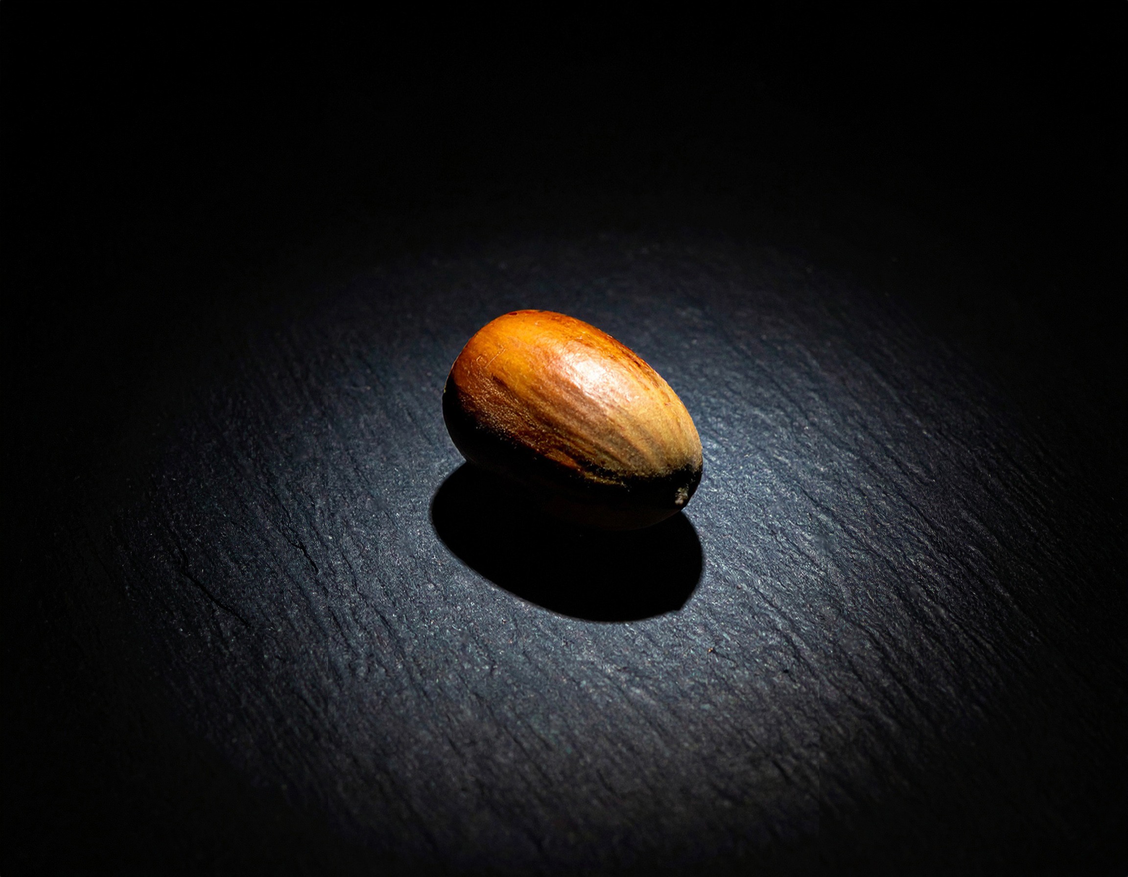 Person in a white off-shoulder top using a MacBook laptop, with text overlay 'What's new in digital?' and the fabrica® logo in the top corner.