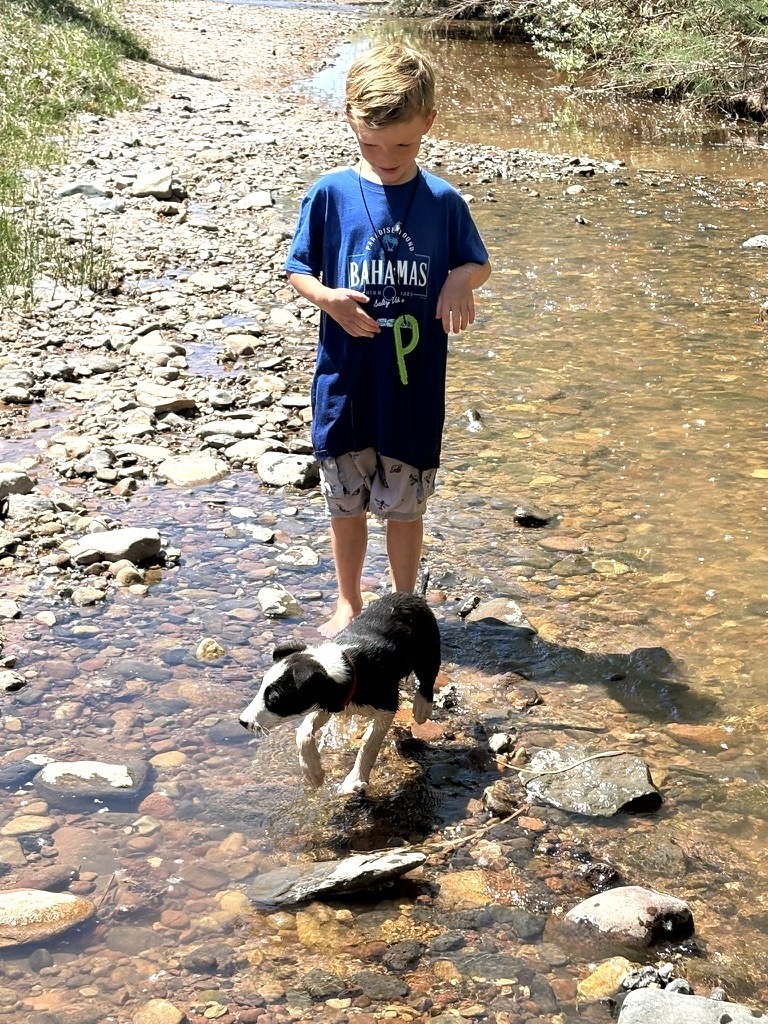 Wading the creek with our dog at the boondocking site near Virgin