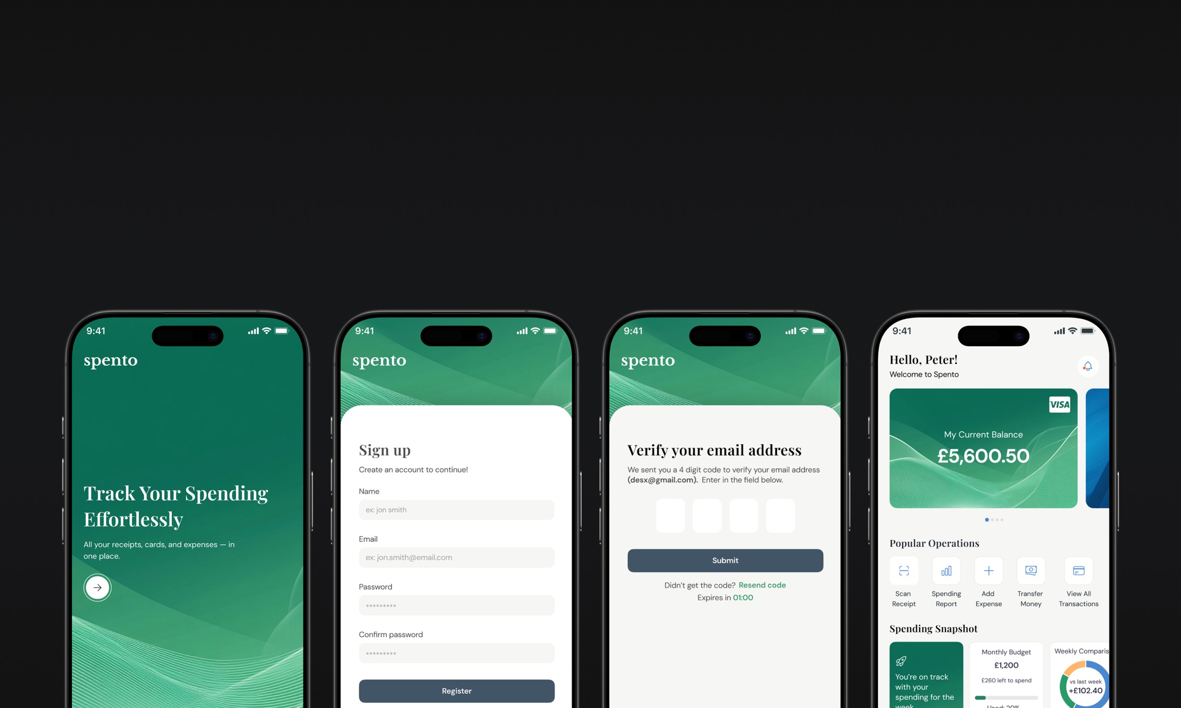 Portfolio project image