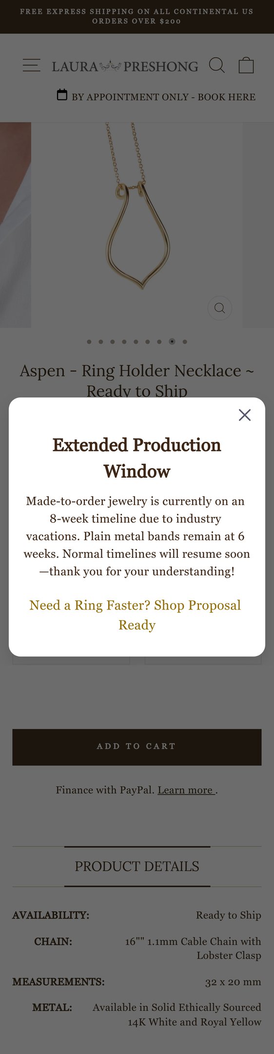 Jewelry product options include: ring, necklace for Aspen - Ring Holder Necklace ~ Ready to Ship from Laura-Preshong-Jewelry.