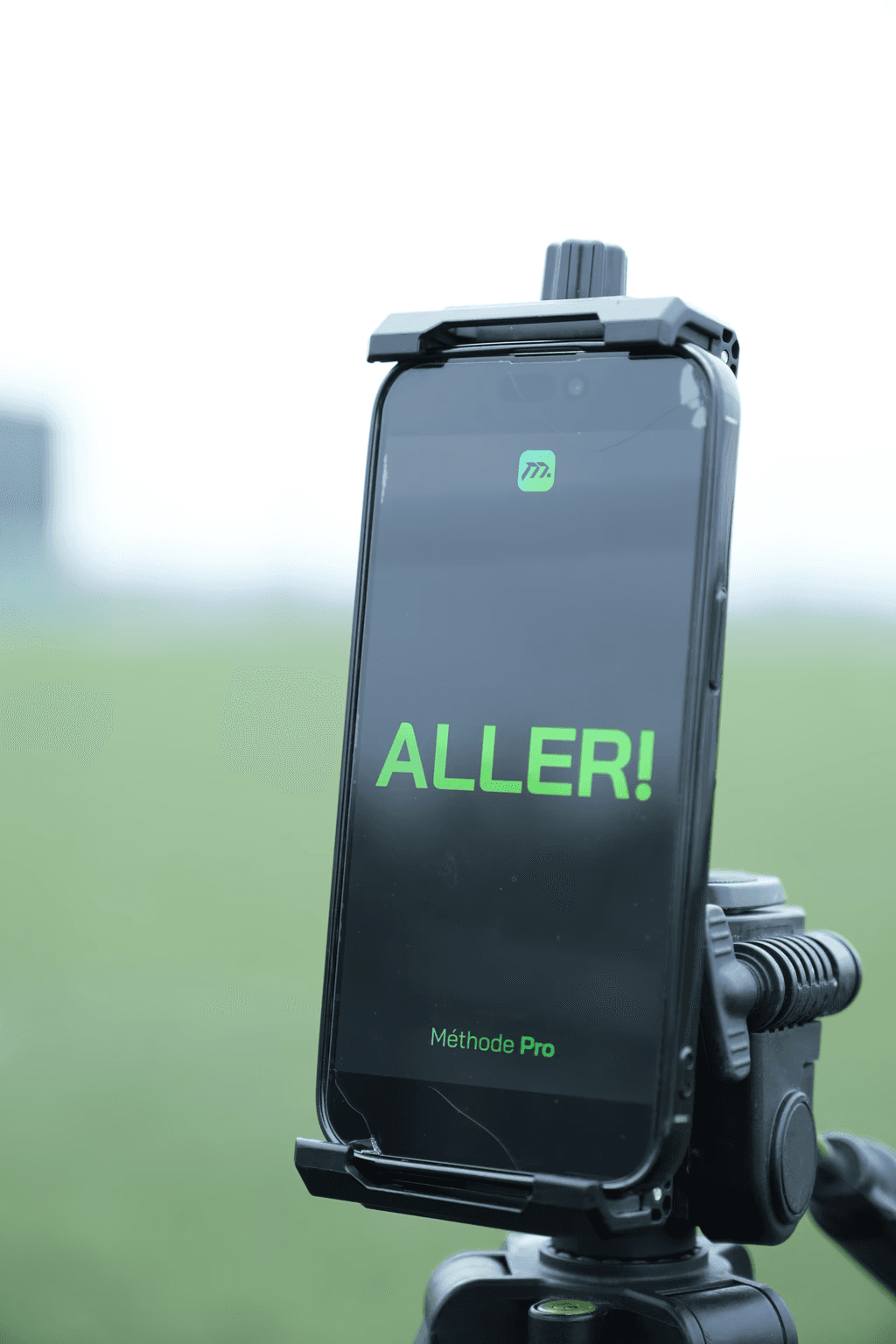 Close-up of white flowers