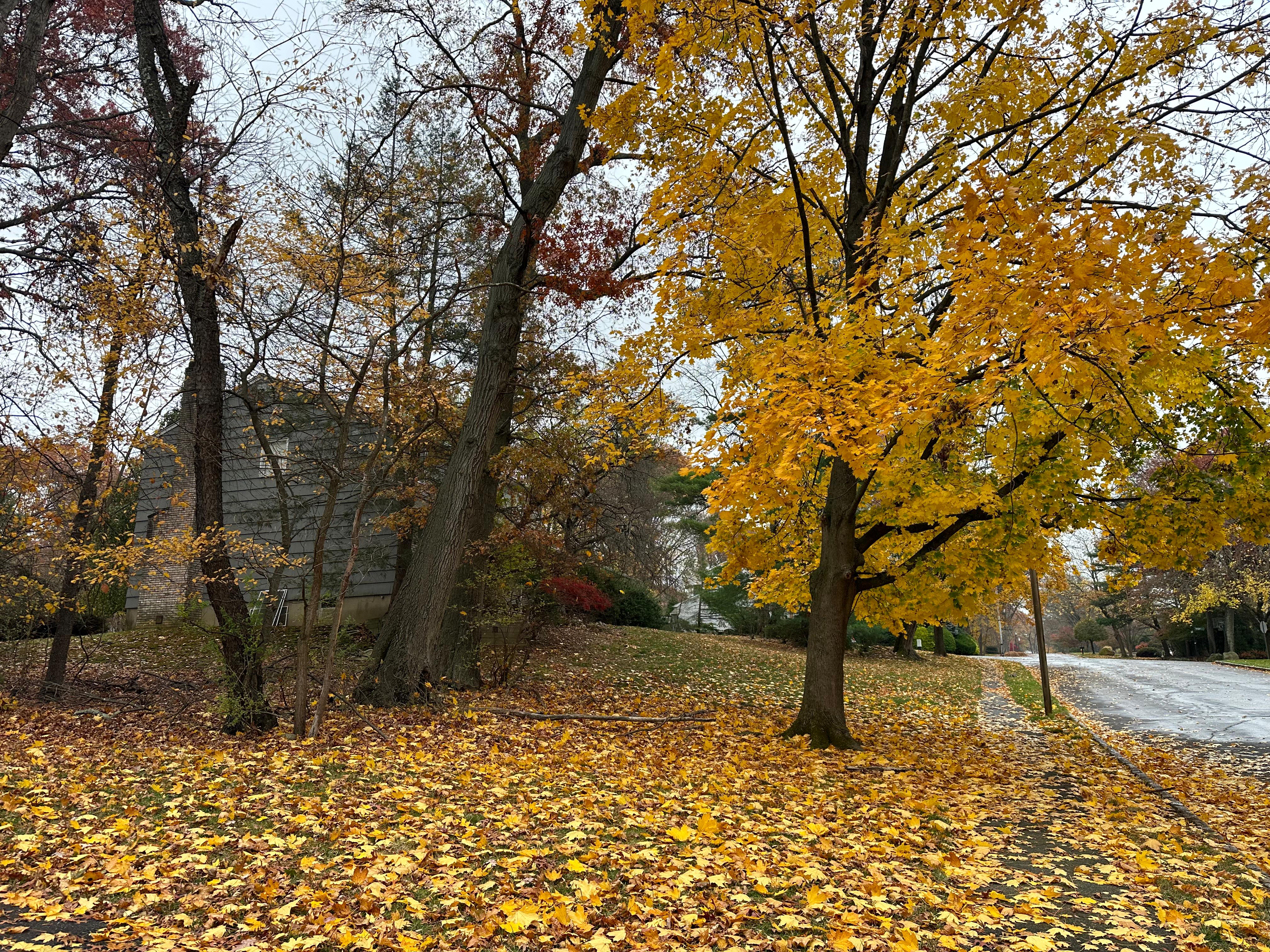 Manhattan view from NJ