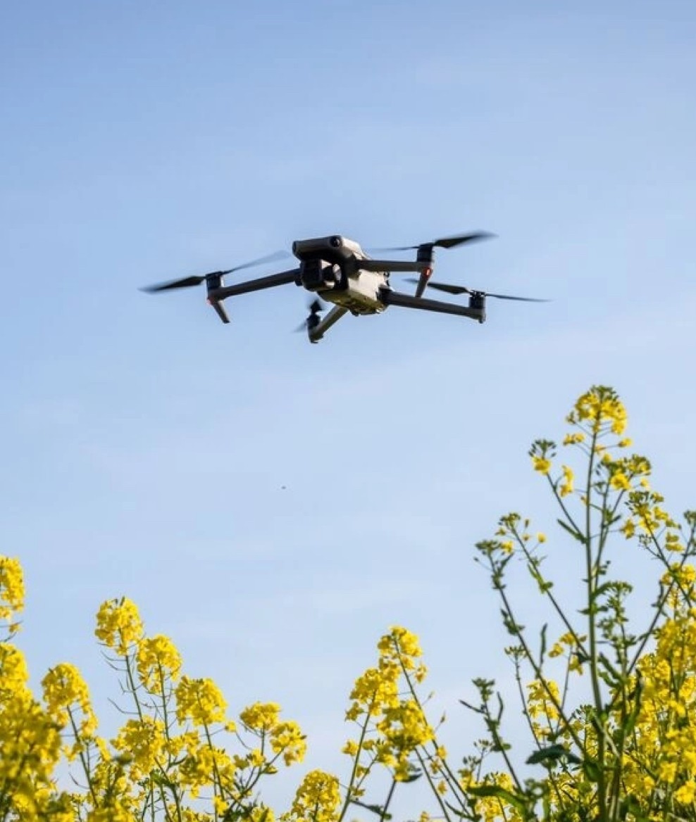 intended attendees for an event