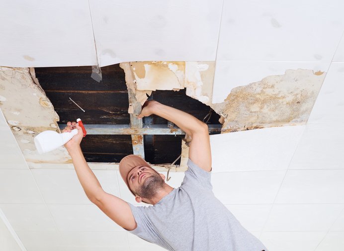 Removing Mold from your Home