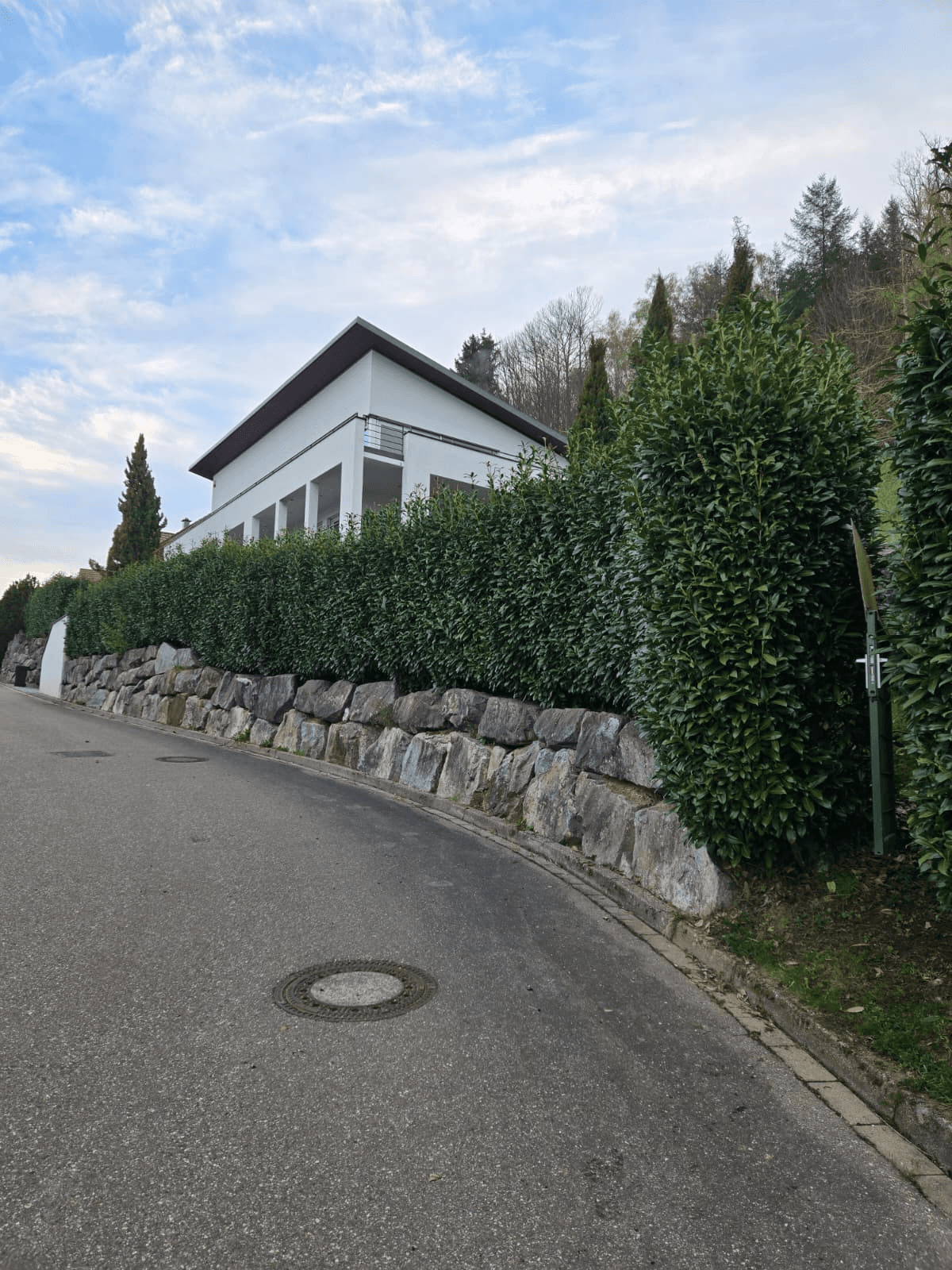 Three road cyclists climbing a narrow uphill road through a wooded landscape during a training ride.