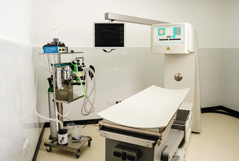 We provide expert imaging services at our pet clinic, using modern radiology equipment for accurate diagnosis.