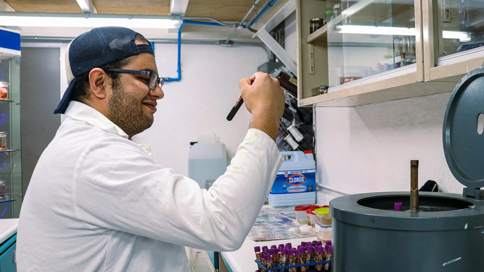 How to Tell Whether ALP Is Coming from the Liver or Bones