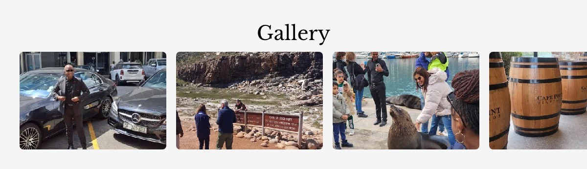 gallery section of a website design by madebycebo