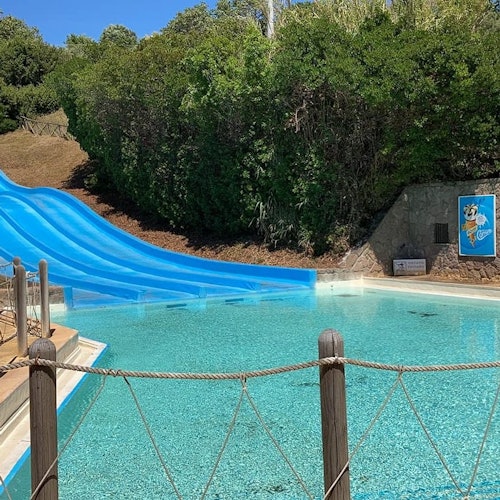 Uno scivolo d'acqua con tre corsie blu conduce a una piscina limpida, circondata da vegetazione e una staccionata in legno.