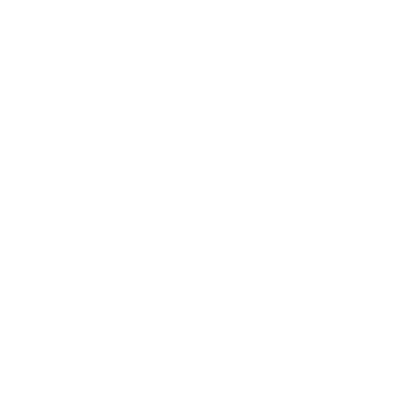 Acme Logo