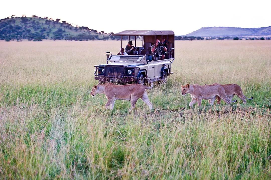 Classic Tanzania