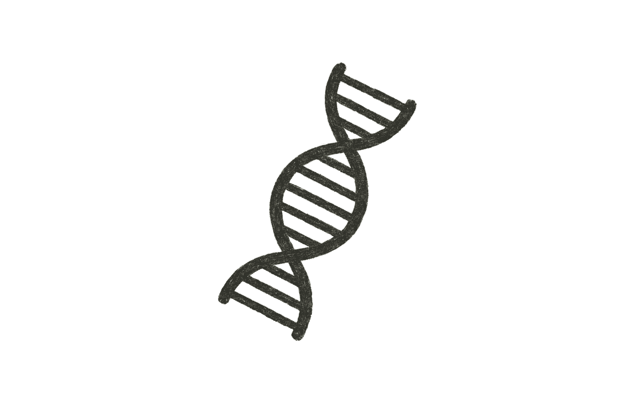 Veltix Logo